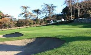 Golf @ Plaza Hotel, Tallaght